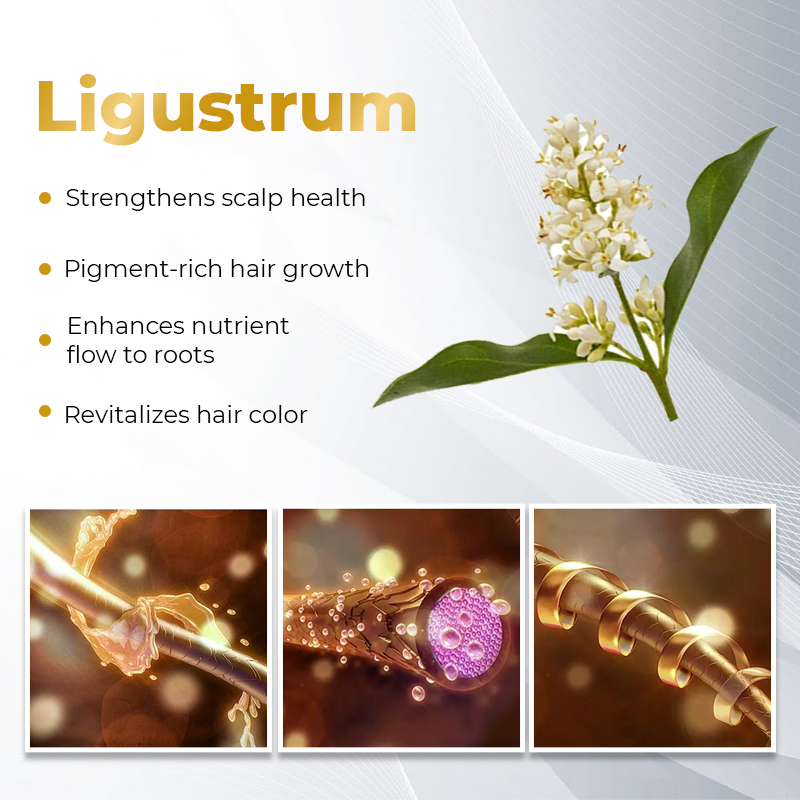 Biancat™ DarkVigor Hair Blackening Shampoo