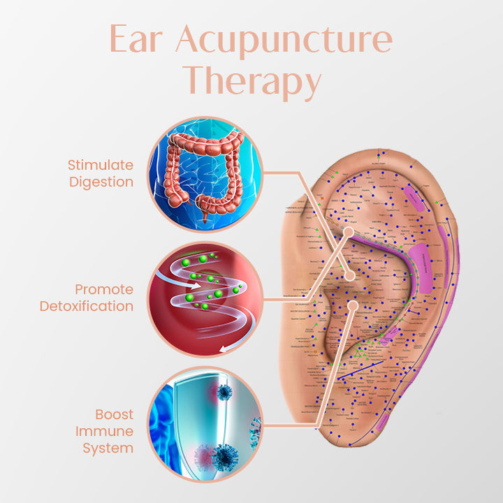 Biancat™ SerenLux Lymphatic Detox Hoop Earrings